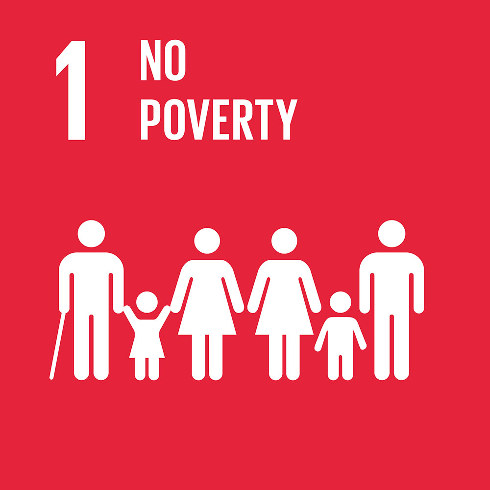 SDG1 No Poverty
