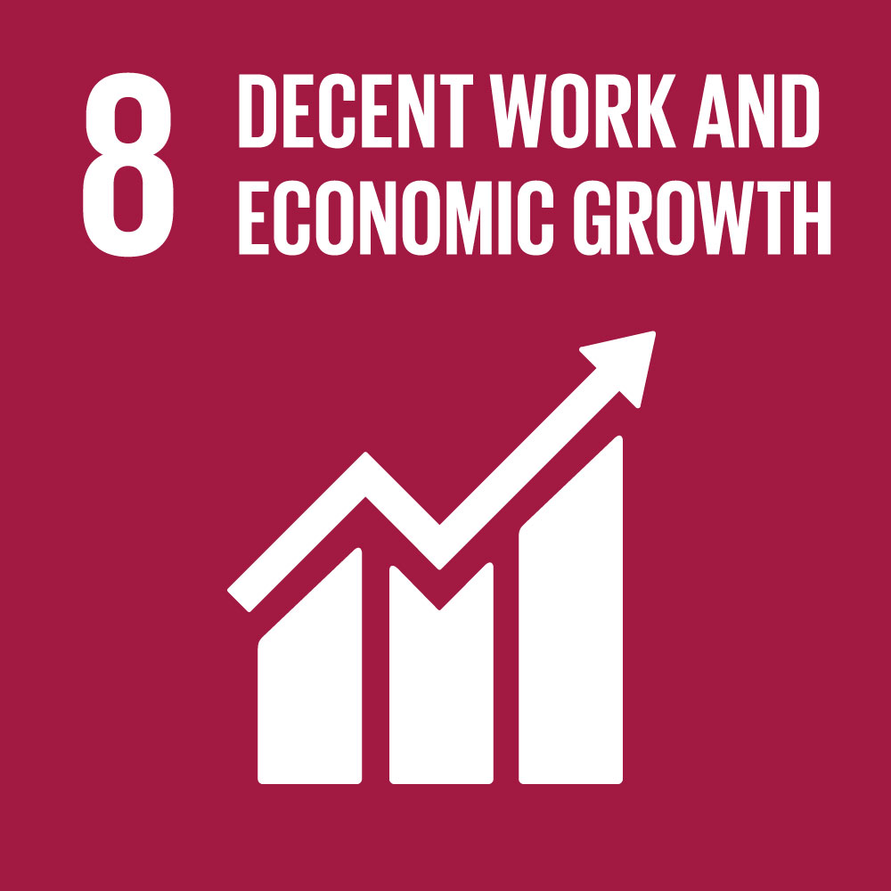 SDG8 Decent Work and Economic Growth