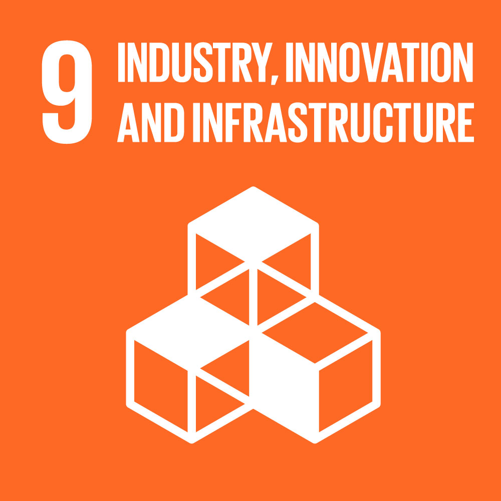 SDG9 Industry Innovation and Infrastructure